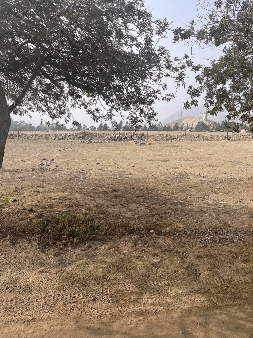 Terreno en Venta ubicado en Huertos De Cieneguilla Terreno en Venta ubicado en Huertos De Cieneguilla