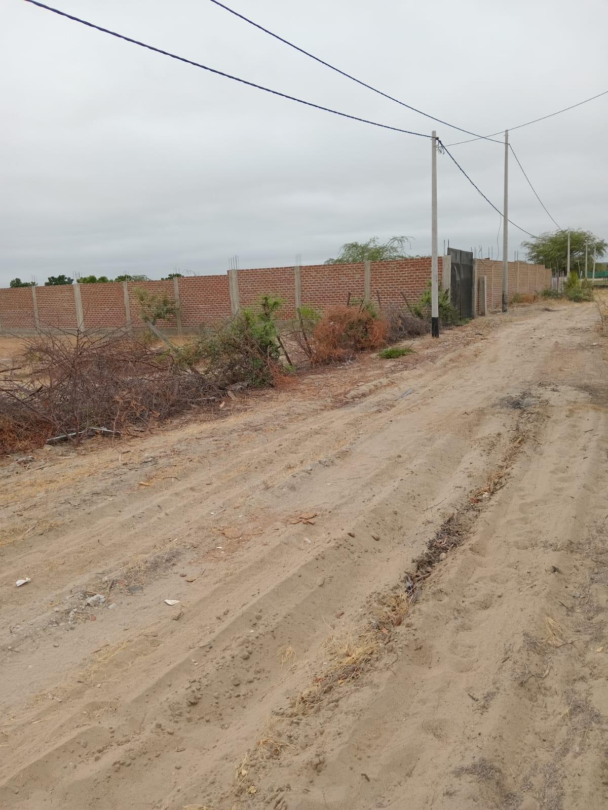 Oportunidad única Terreno ubicado en Castilla Oportunidad única Terreno ubicado en Castilla