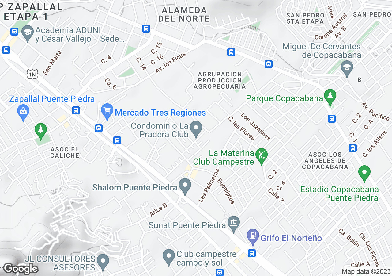 Departamento en venta en Puente Piedra
