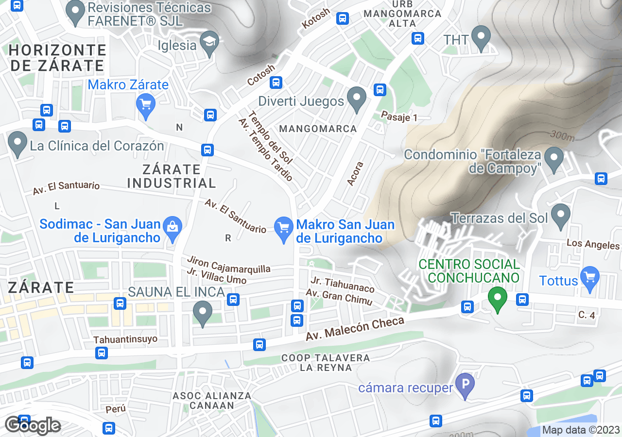 Casa en venta en San Juan De Lurigancho