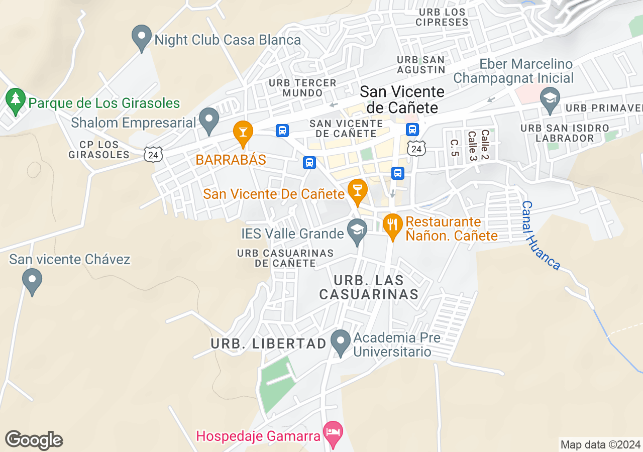 Terreno Comercial en venta en San Vicente De Cañete