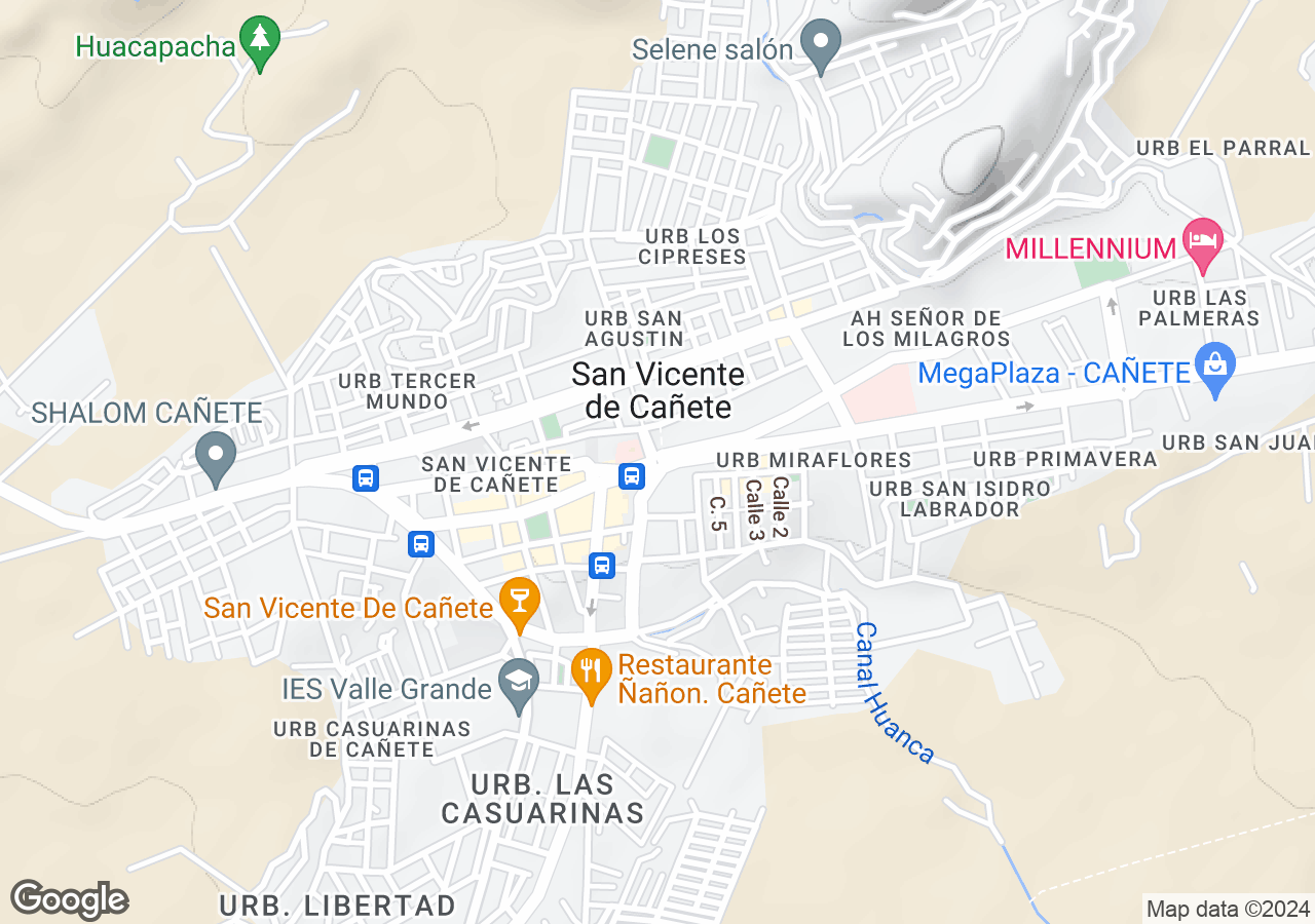 Terreno en venta en San Vicente De Cañete