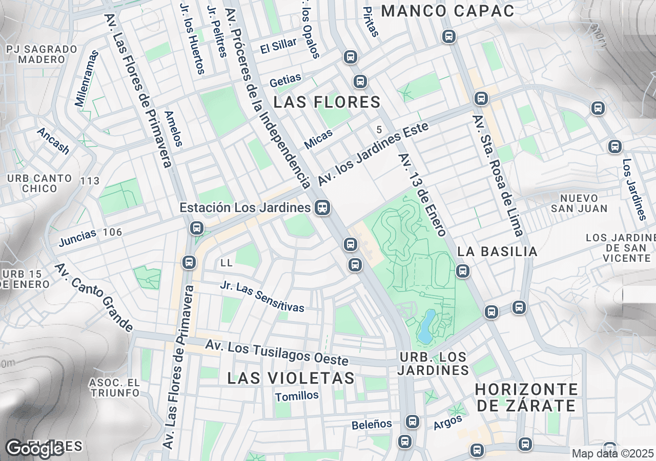 Local comercial en San Juan De Lurigancho | 119047 | Babilonia